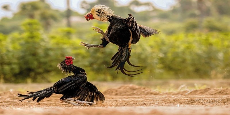 Những yếu tố tạo nên sự khác biệt trong trải nghiệm