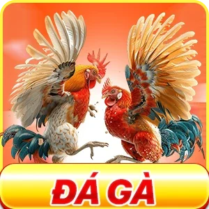 icon đá gà tr88